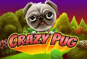 Crazy Pug